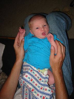 Diaper testing